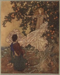 !!@@#dddddd444plate17-th